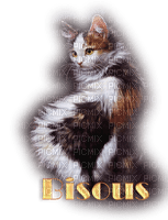 chat bisous - png ฟรี