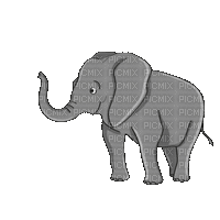 Elefánt - Bezmaksas animēts GIF