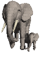 aze elephant - Free animated GIF