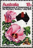 Australian native flowers bp - PNG gratuit