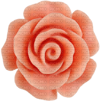 Rose-RM - Free PNG