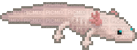 axolotl - Gratis animeret GIF