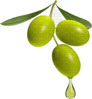 olives bp - png grátis