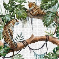 Jungle Background - 免费PNG