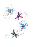 dragonflies - Δωρεάν κινούμενο GIF