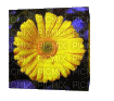 cube flower - Nemokamas animacinis gif