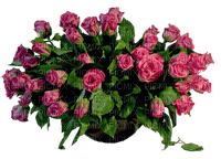 Bloemen en planten - png grátis