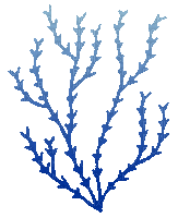 Sea plants.algue.Mer.plante.Victoriabea - GIF animado grátis