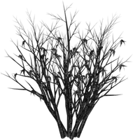 Arbre.Tree.Plants.Black.Victoriabea - PNG gratuit