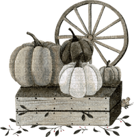 watercolor pumpkin Bb2 - kostenlos png