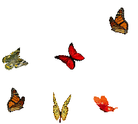 papillons HD - Bezmaksas animēts GIF