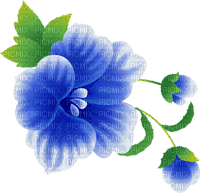 All my lovely flowers - darmowe png