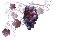grapes bp - ilmainen png