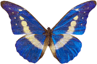 mariposa  gif  dubravka4 - GIF animado grátis
