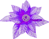 Christmas.Flower.Purple - png gratis
