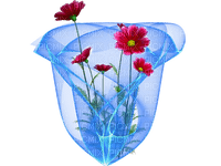 blomma--flower--sinedot - 無料png