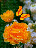 MMarcia gif flores e borboleta fundo - GIF animado gratis