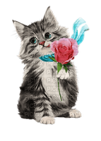 Gato con una rosa - png ฟรี