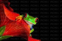 Grenouille - Free PNG