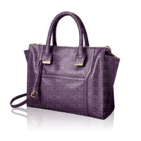 Kaz_Creations Bags Bag - png ฟรี