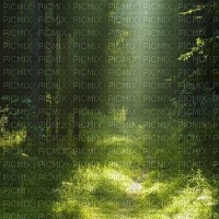 garden forest - δωρεάν png