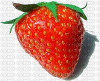 fruits - png grátis