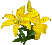 lilies by nataliplus - PNG gratuit