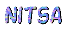 Nitsa - logotupo 11 - Darmowy animowany GIF