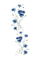 kikkapink blue flower flowers spring summer - ücretsiz png