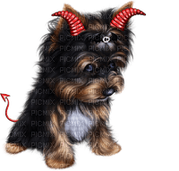 Dog Puppy Chien Halloween Devil - безплатен png