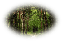 tube foret - Free PNG