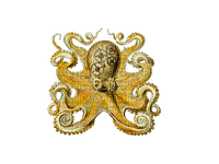 steampunk octypus bp - Free PNG