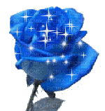 une rose bleue - PicMix