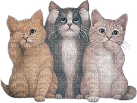Trio of cats