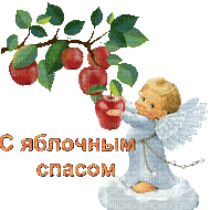 apple spas - Бесплатни анимирани ГИФ
