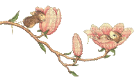 mouse maus souris animal branch spring flower fleur blossom printemps fun gif anime animated animation tube - Δωρεάν κινούμενο GIF