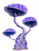 mushroom  by nataliplus - ilmainen png