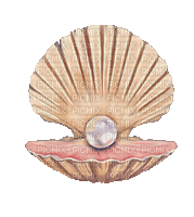 Pearl Shell - Gratis geanimeerde GIF