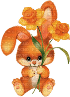 hare by nataliplus - png gratis