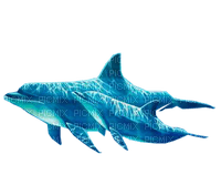 Dauphins .S - 免费PNG