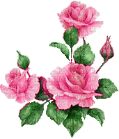 csodás mozgó rózsa - GIF animado gratis