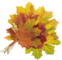 autumn_ leaves_automne_ feuille_BlueDREAM70 - zdarma png