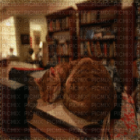 CAT SLEEPING IN LIBRARY ANIMATED BG - Bezmaksas animēts GIF