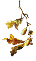 autumn deco by nataliplus - δωρεάν png