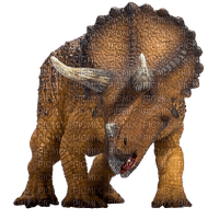 Triceratops - PNG gratuit
