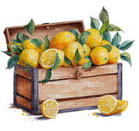 Lemon.Citron.Limón.Box.Victoriabea - 免费PNG