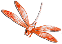 soave deco dragonfly orange - PNG gratuit