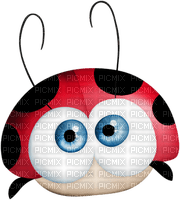 Kaz_Creations Ladybugs Ladybug - 免费PNG