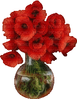 minou-animated-red-flower-animation - GIF animado gratis