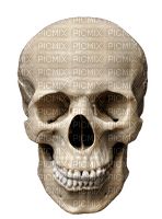 Gothic skull by nataliplus - darmowe png